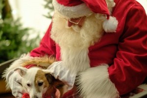Father Christmas with dog