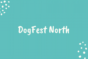 dogfest north