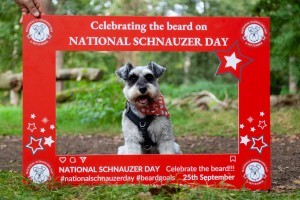 national schnauzer day