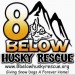 image for 8 Below Husky rescue