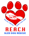 image for REACH Sled Dog Rescue